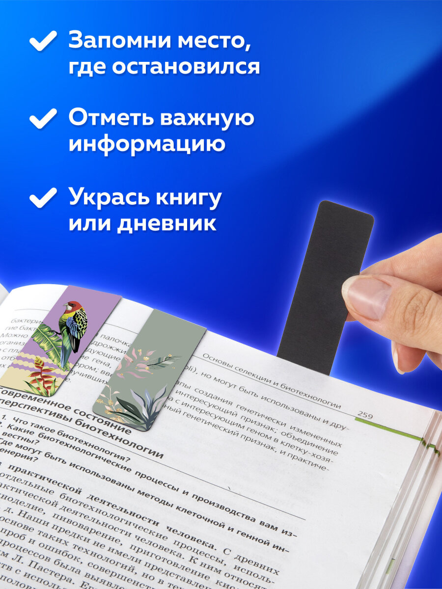 Магнитная закладка Brauberg 12 шт. - фото 3