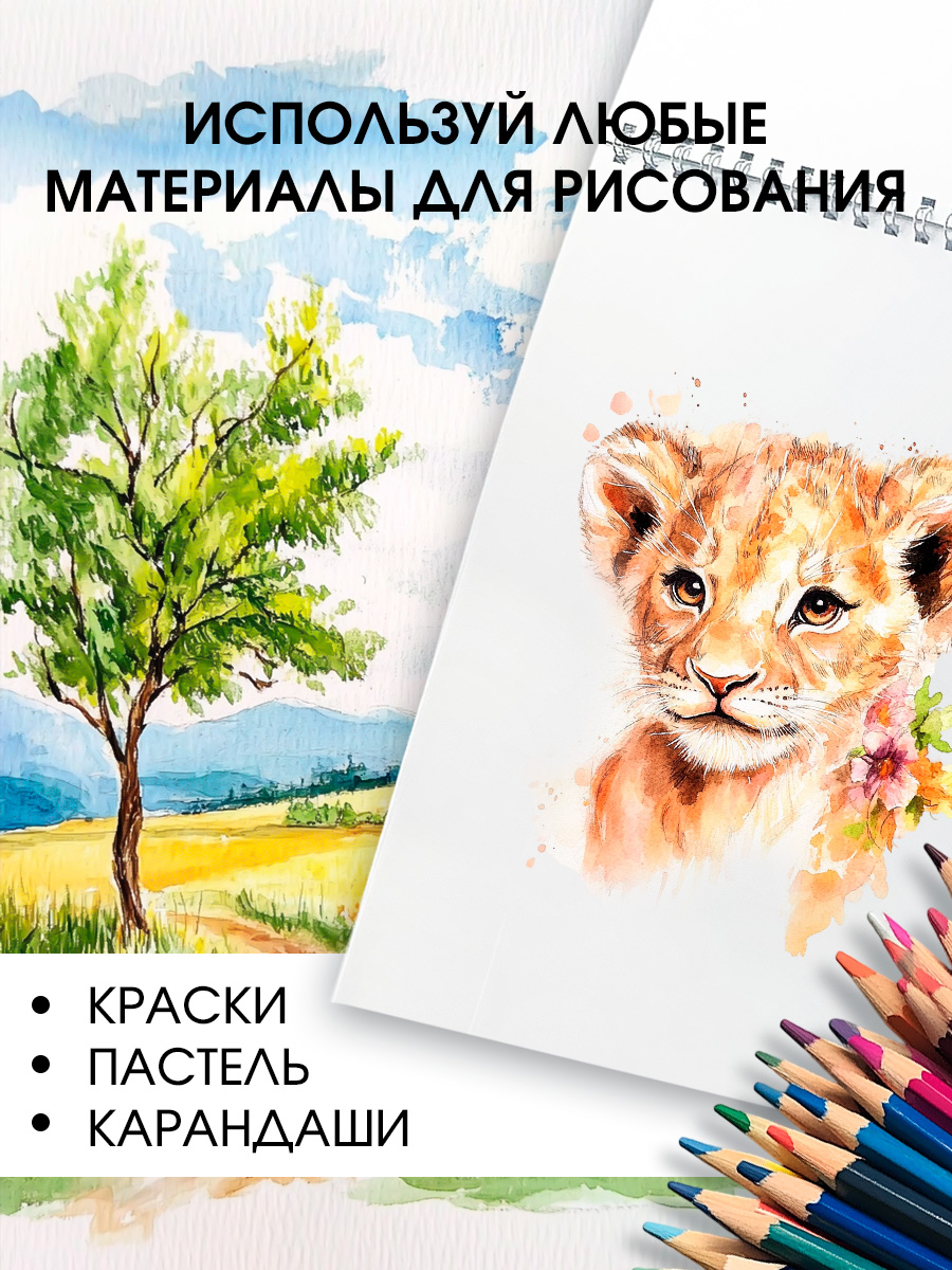 Альбом AXLER А4 40 лист. 2 шт. - фото 4