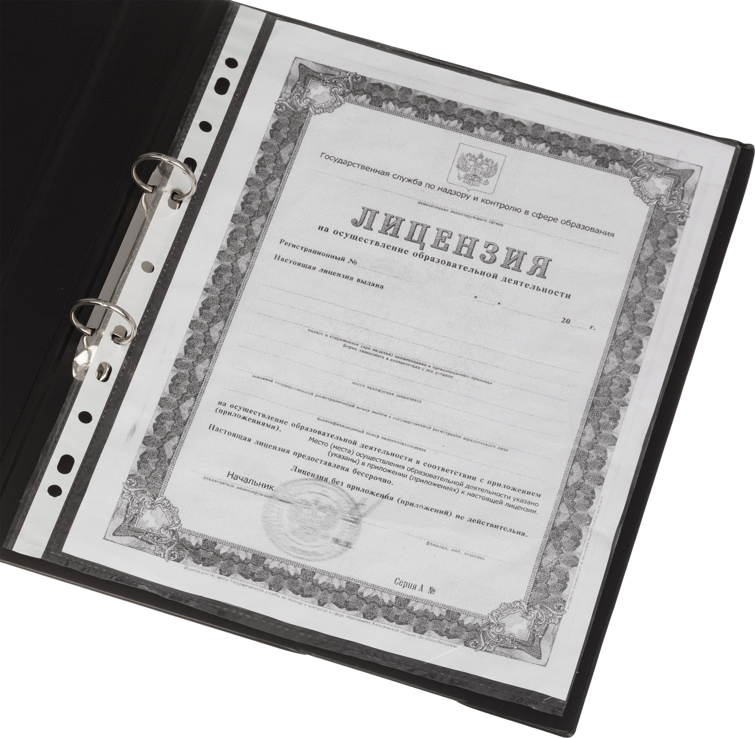 Папка на кольцах Attache Selection А4 - фото 8