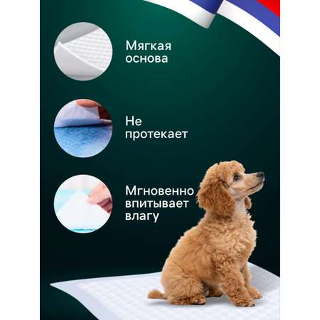 Пеленки впитывающие для животных Пижон целлюлозные 60 х 40 см в наборе 5 шт