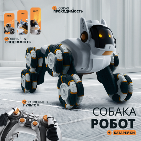 Собака РУ Tim Tin