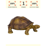 Игровой набор Masai Mara