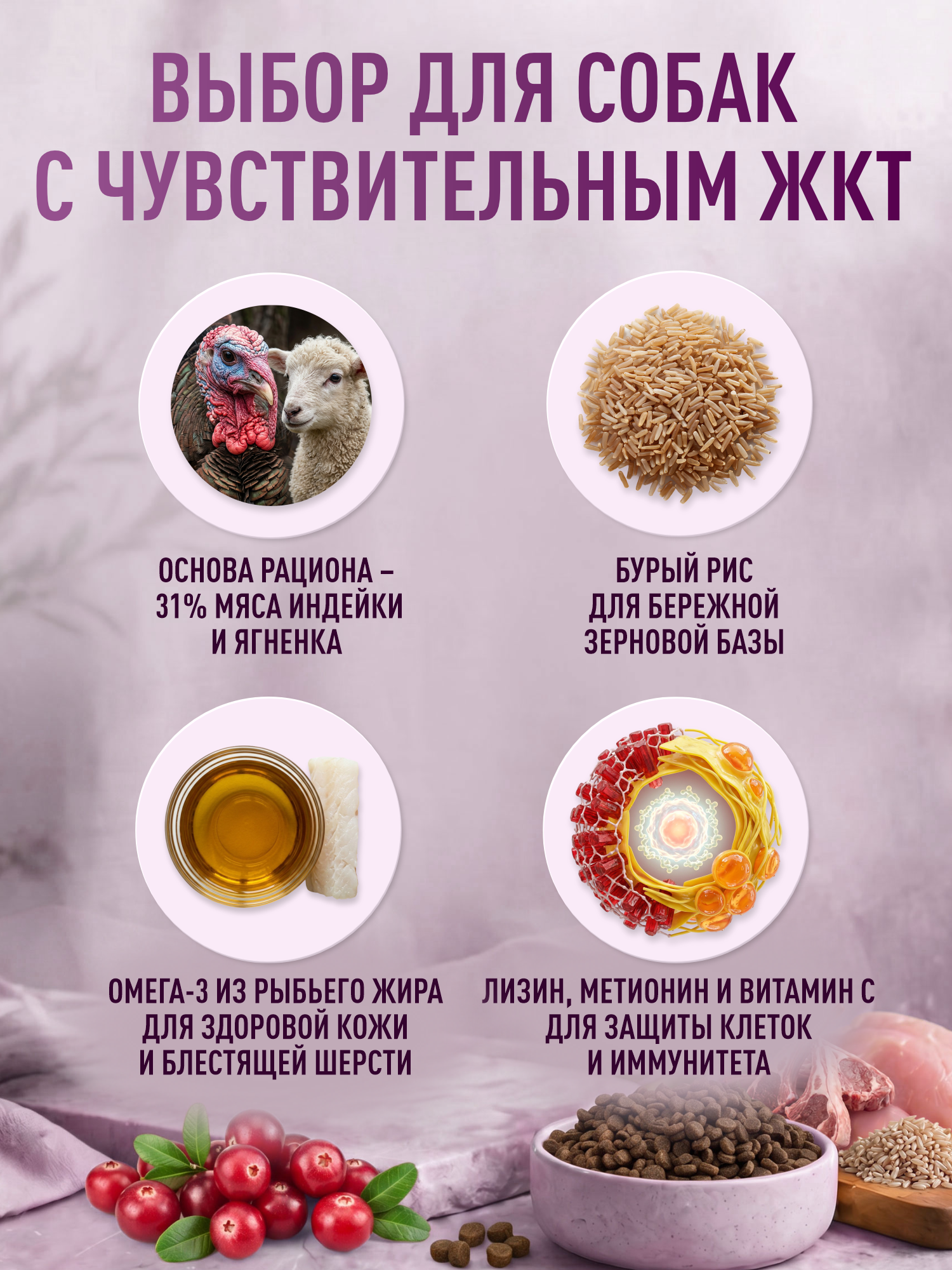 Корм для собак крупных и средних сухой Clan Classic Hypoallergenic 23/11 гипоаллергенный ягненок и индейка 18кг - фото 2