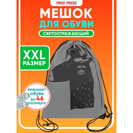 Мешок для обуви Prof-Press