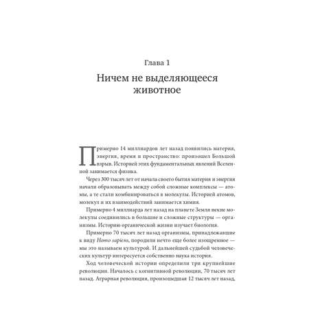 Книга Издательство СИНДБАД Sapiens. Краткая история человечества