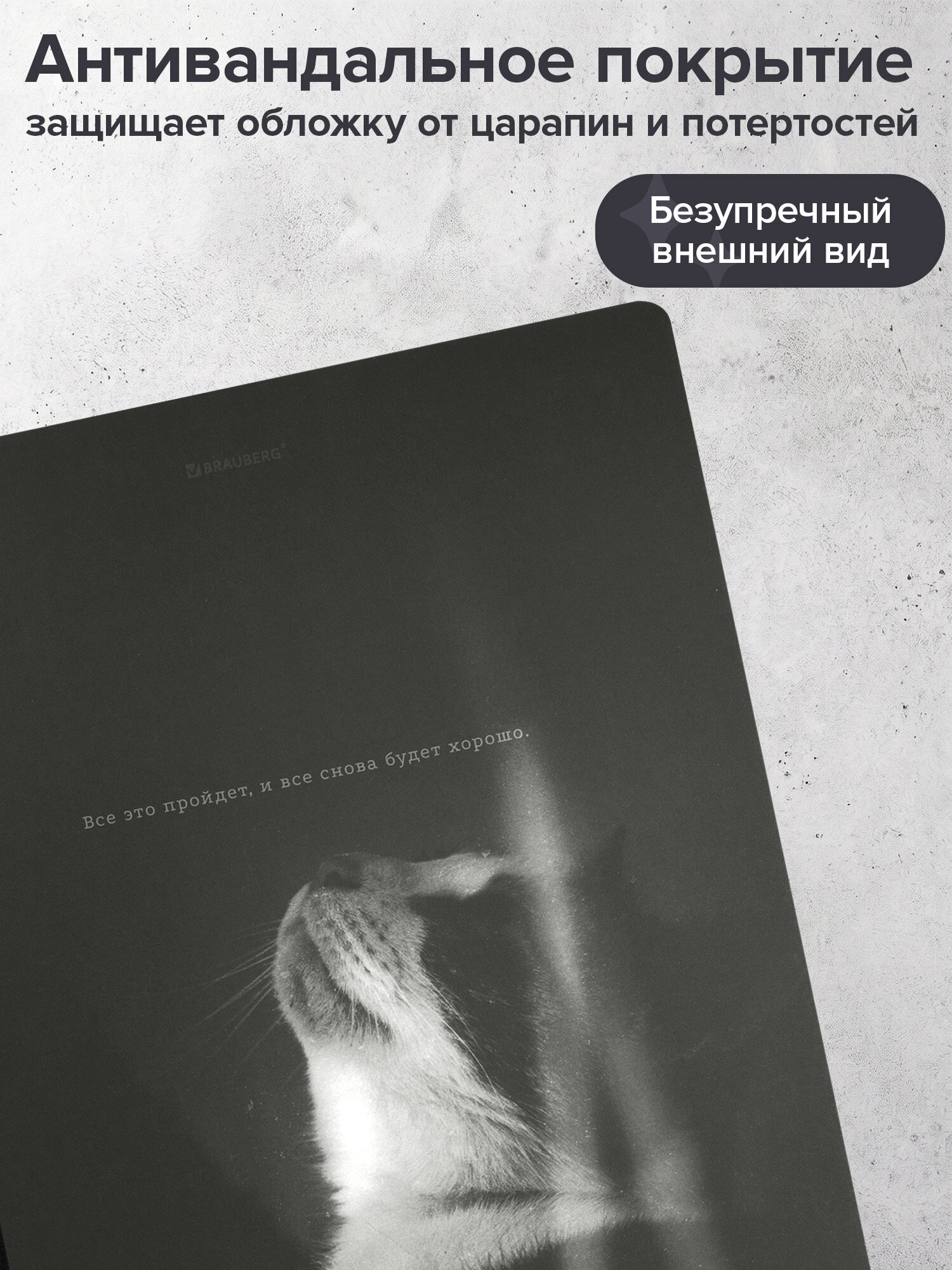 Тетрадь Brauberg клетка 96 лист. - фото 5