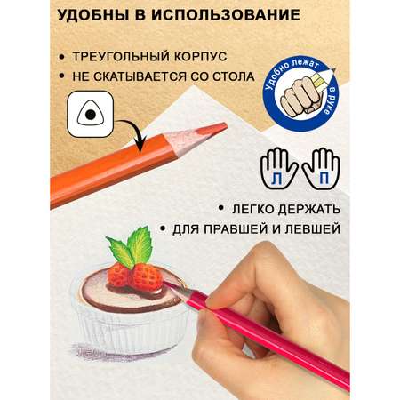 Карандаши цветные ACMELIAE 24 шт.