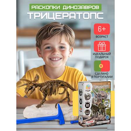Набор для раскопок KONIK Science