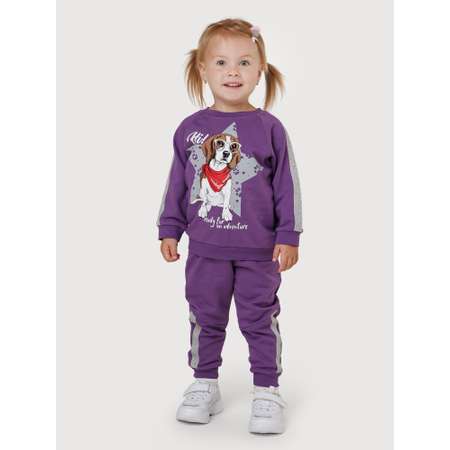 Свитшот и брюки VEDDI