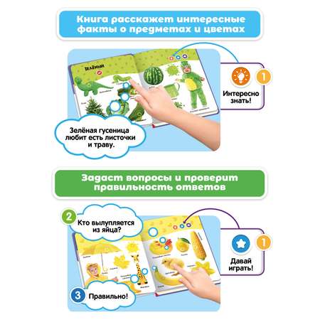 Комплект говорящих книжек BertToys Нажималки: Формы + Цвета