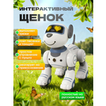 Робот РУ MagicStyle