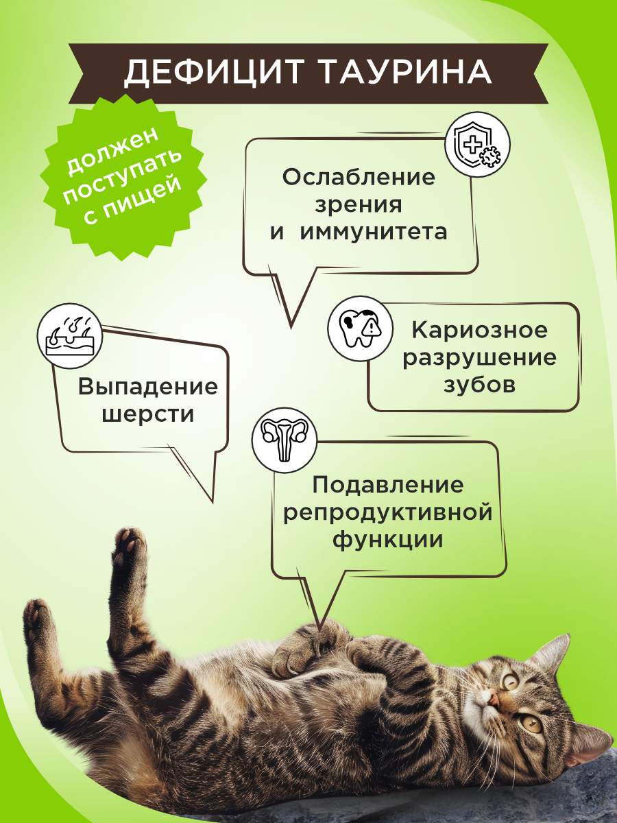 Полезное лакомство для кошек GOODR CAT Здоровье кожи и шерсти 90 таб. - фото 4