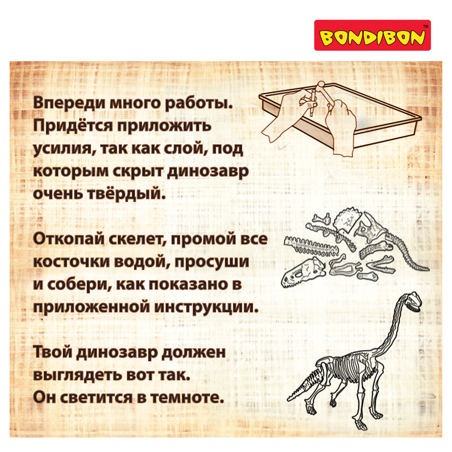 Набор для раскопок Bondibon Брахиозавр светящийся скелет - фото 9