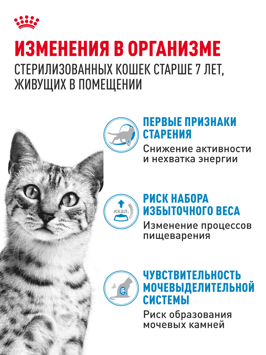 Корм для кошек ROYAL CANIN Indoor 85г для пожилых стерилизованных кошек 7+ желе пауч - фото 2