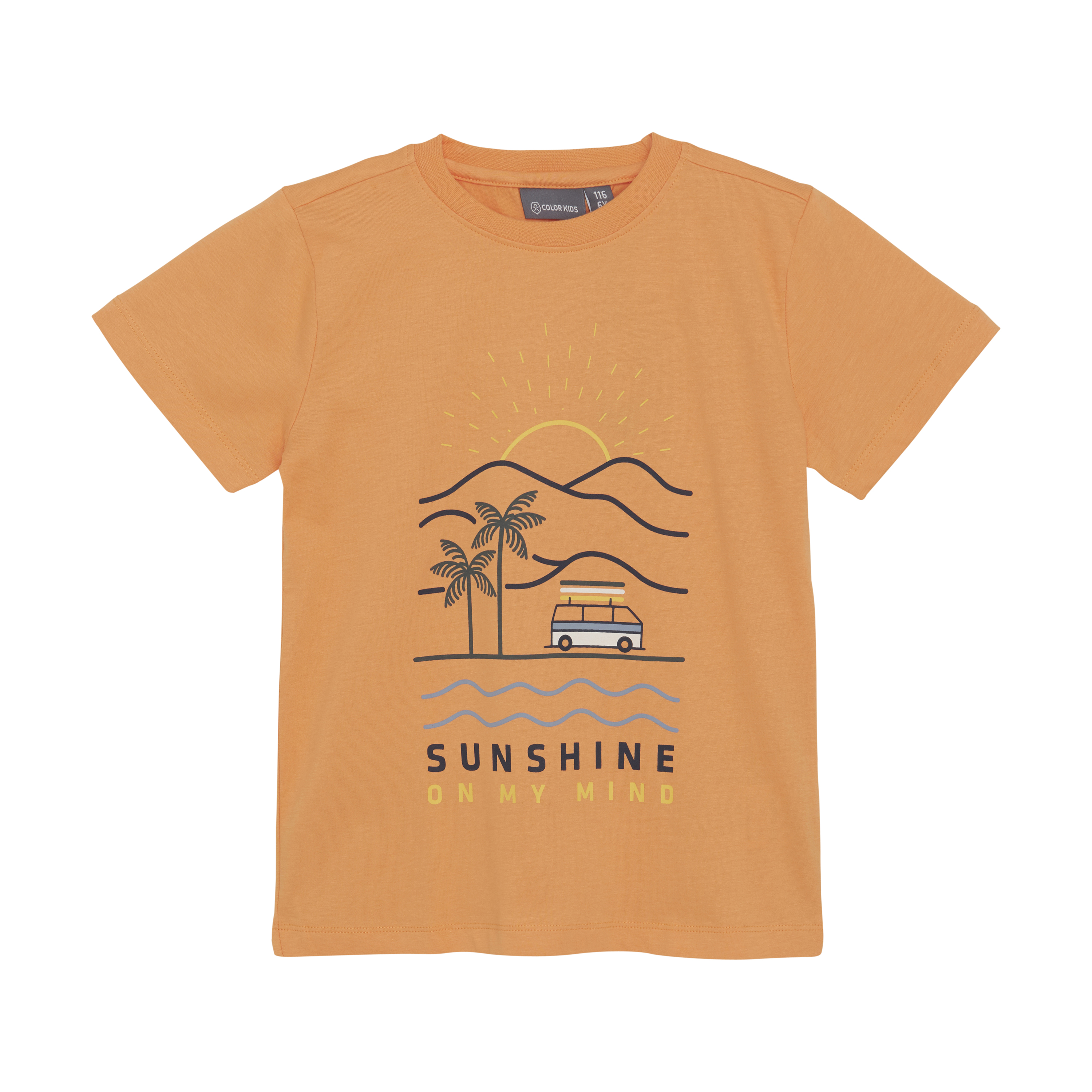 Футболка Color Kids 742107-3040 - фото 1