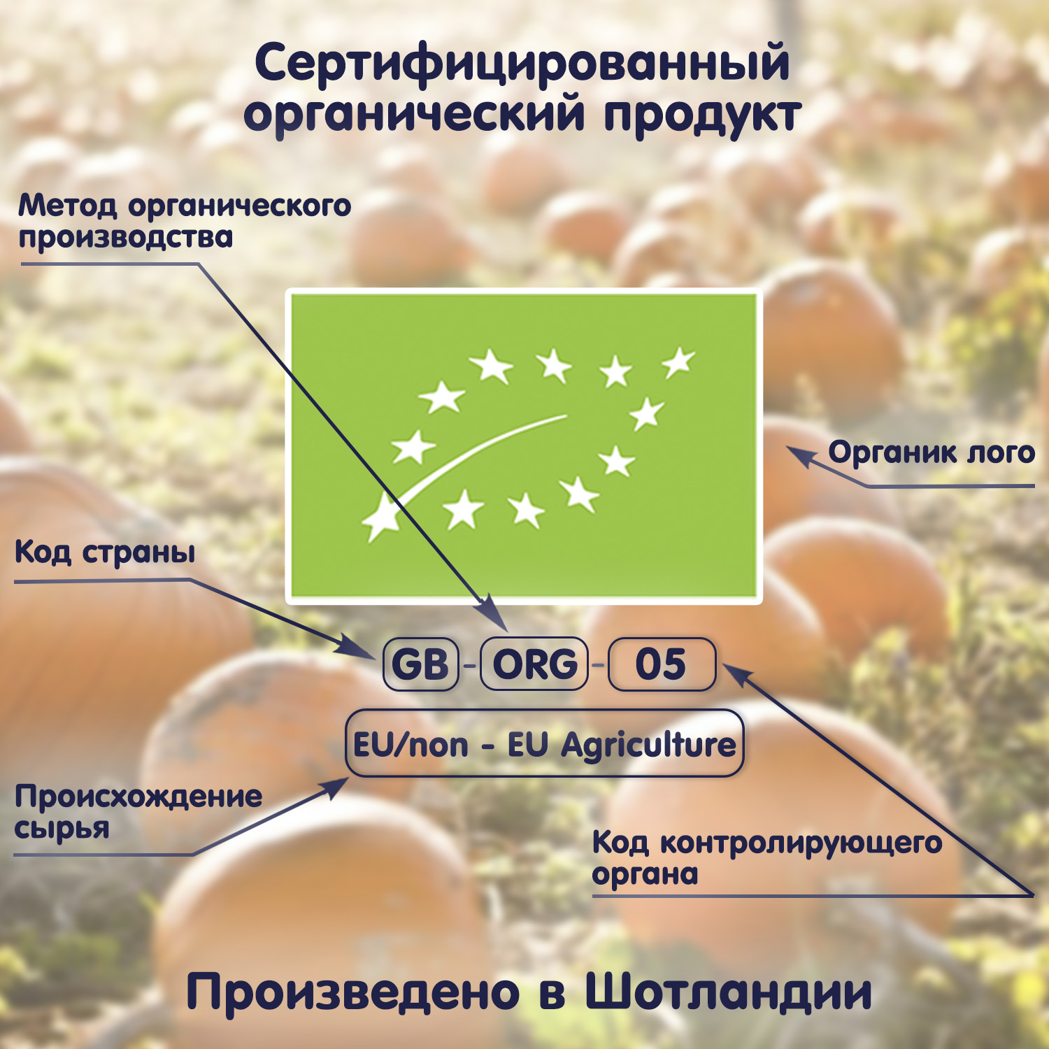 Пюре Fleur Alpine Яблоко-морковь-пастернак с 6 мес 120 г - фото 10