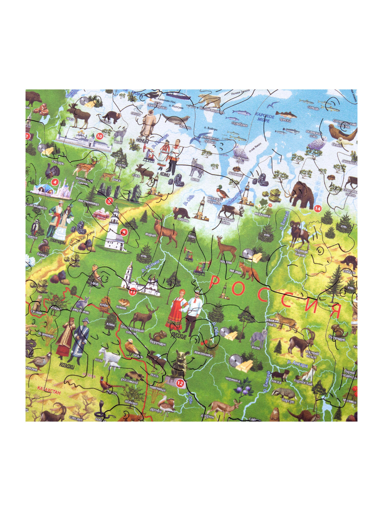 Пазл Globen карта России деревянный - фото 8