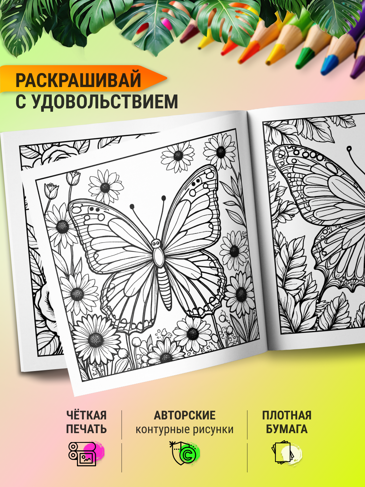 Раскраска СПЕКТР Бабочки - фото 4