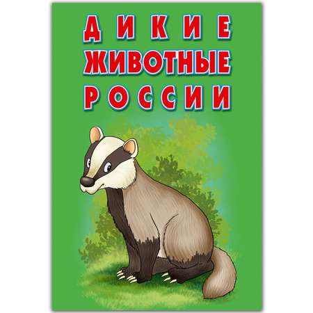 Карточки РУЗ Ко Домашние и дикие животные