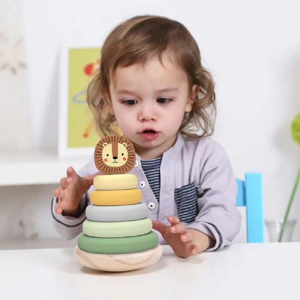Игрушка Tooky Toy пирамидка - фото 7