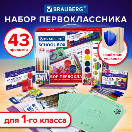 Набор школьника Brauberg 43 предм.