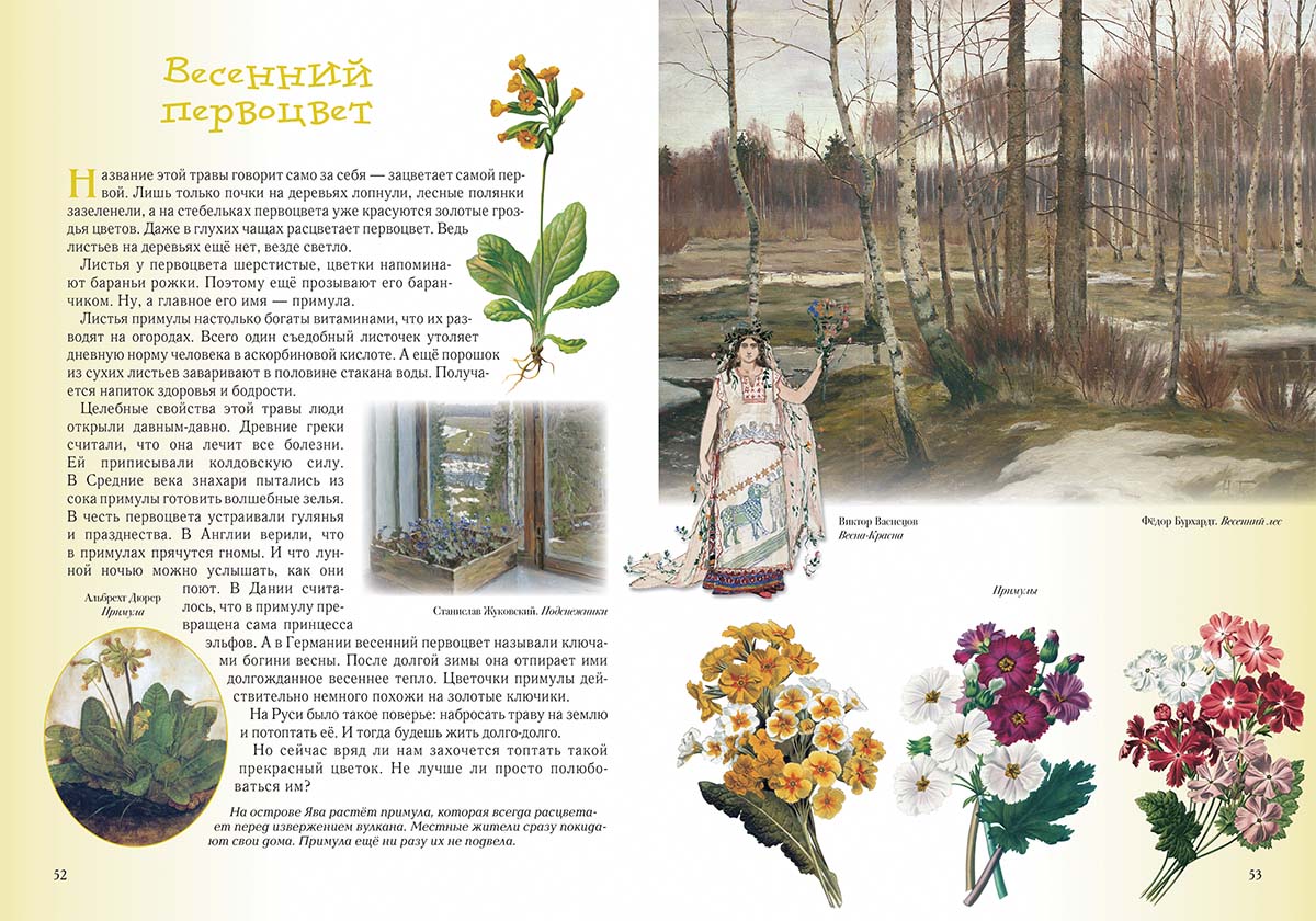 Книга Белый город Прогулки по лесу. - 2-е изд. - фото 6