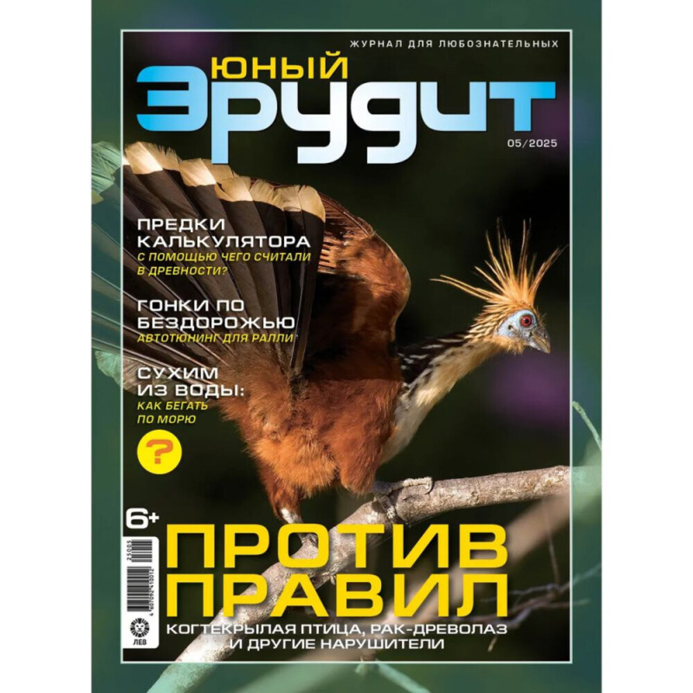 Детские журналы ИД Лев Журналы для любознательных детей - фото 3