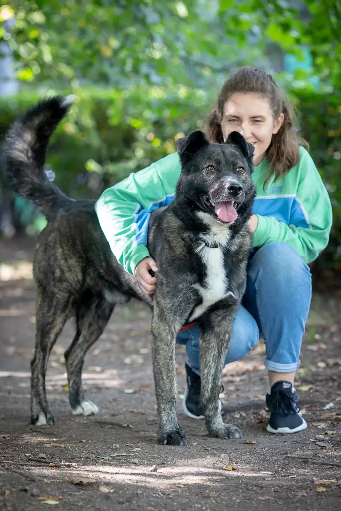 Собака Чарлик - фото 4