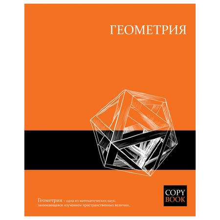 Тетрадь Феникс + 48 лист. (Геометрия)