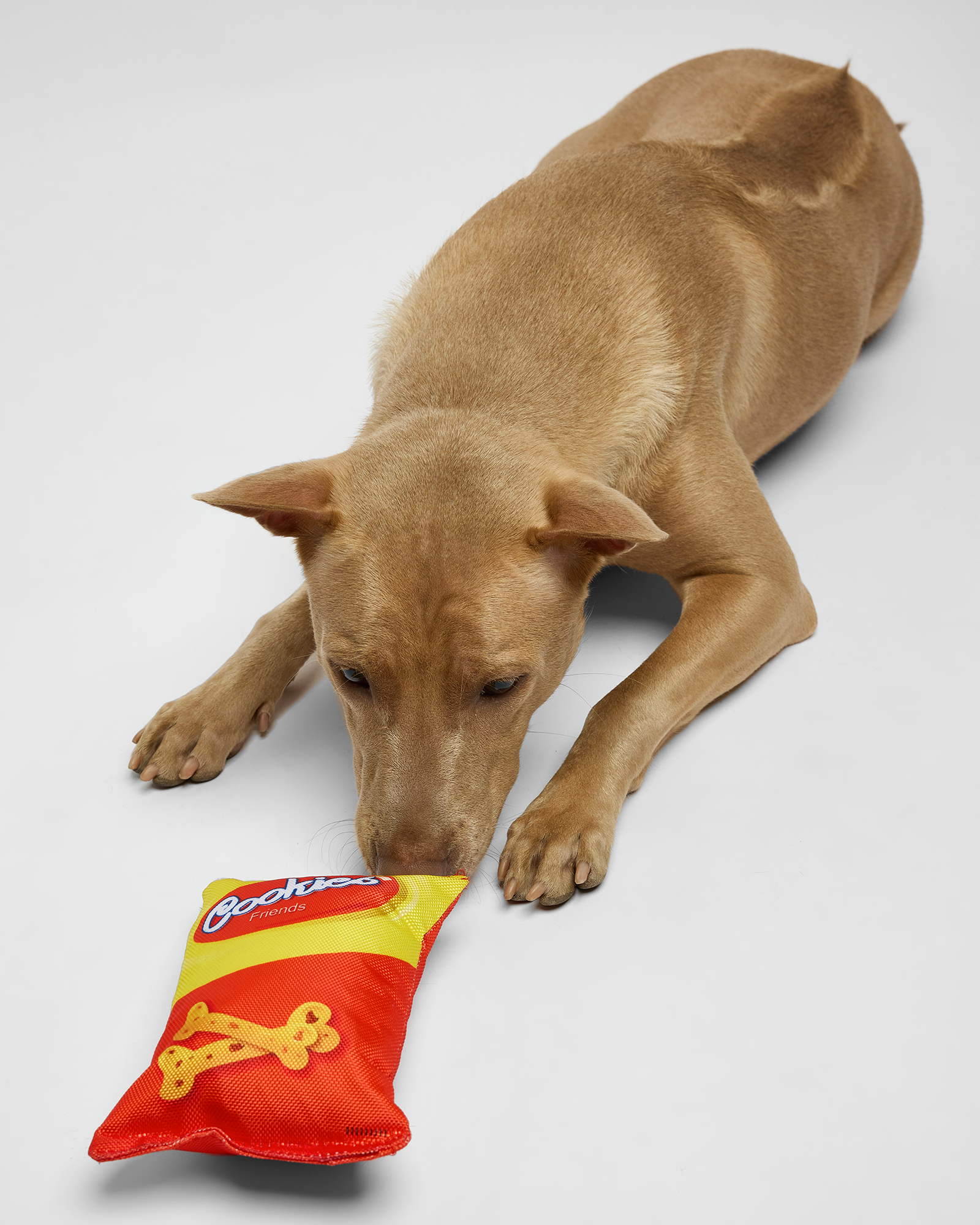 Игрушка для собак Barbaks Пакет снеков особо прочный шуршит 20*14 см - фото 6