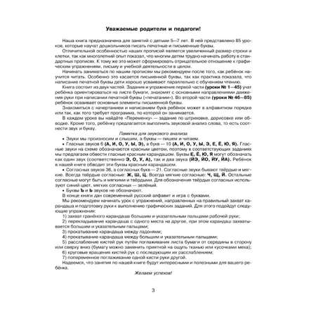 Книга ИД Литера 85 уроков для обучения письму. 5-7 лет