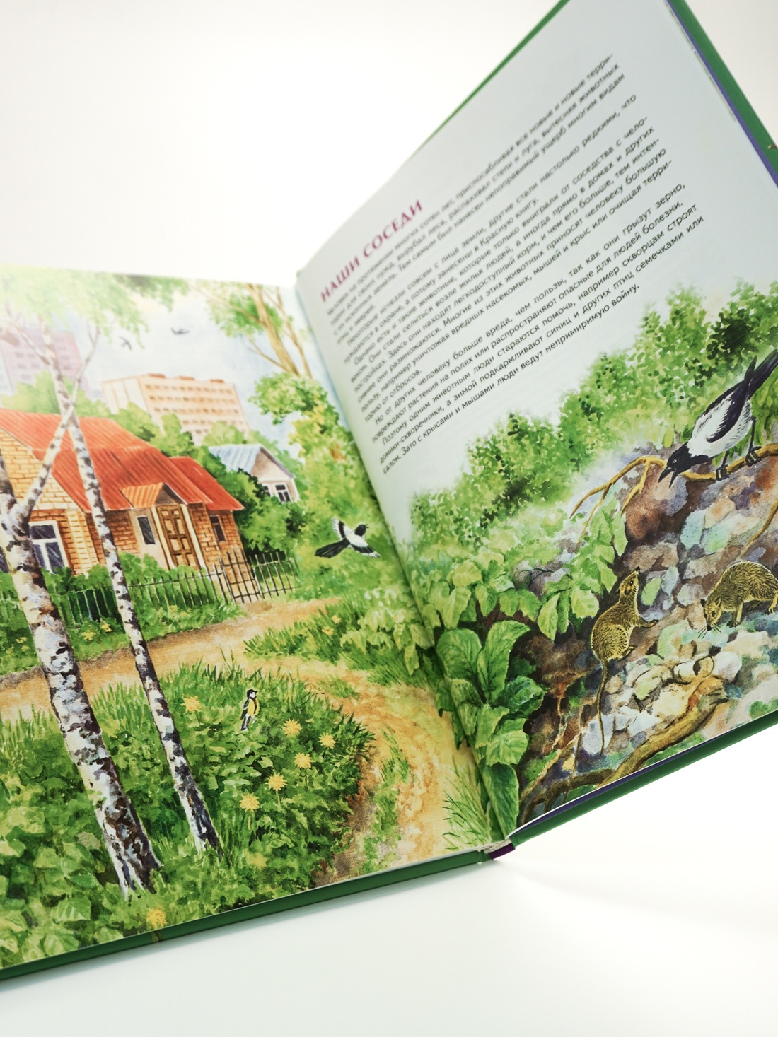 Книга Махаон Наша родина - Россия. Большой комплект из 7 книг - фото 7