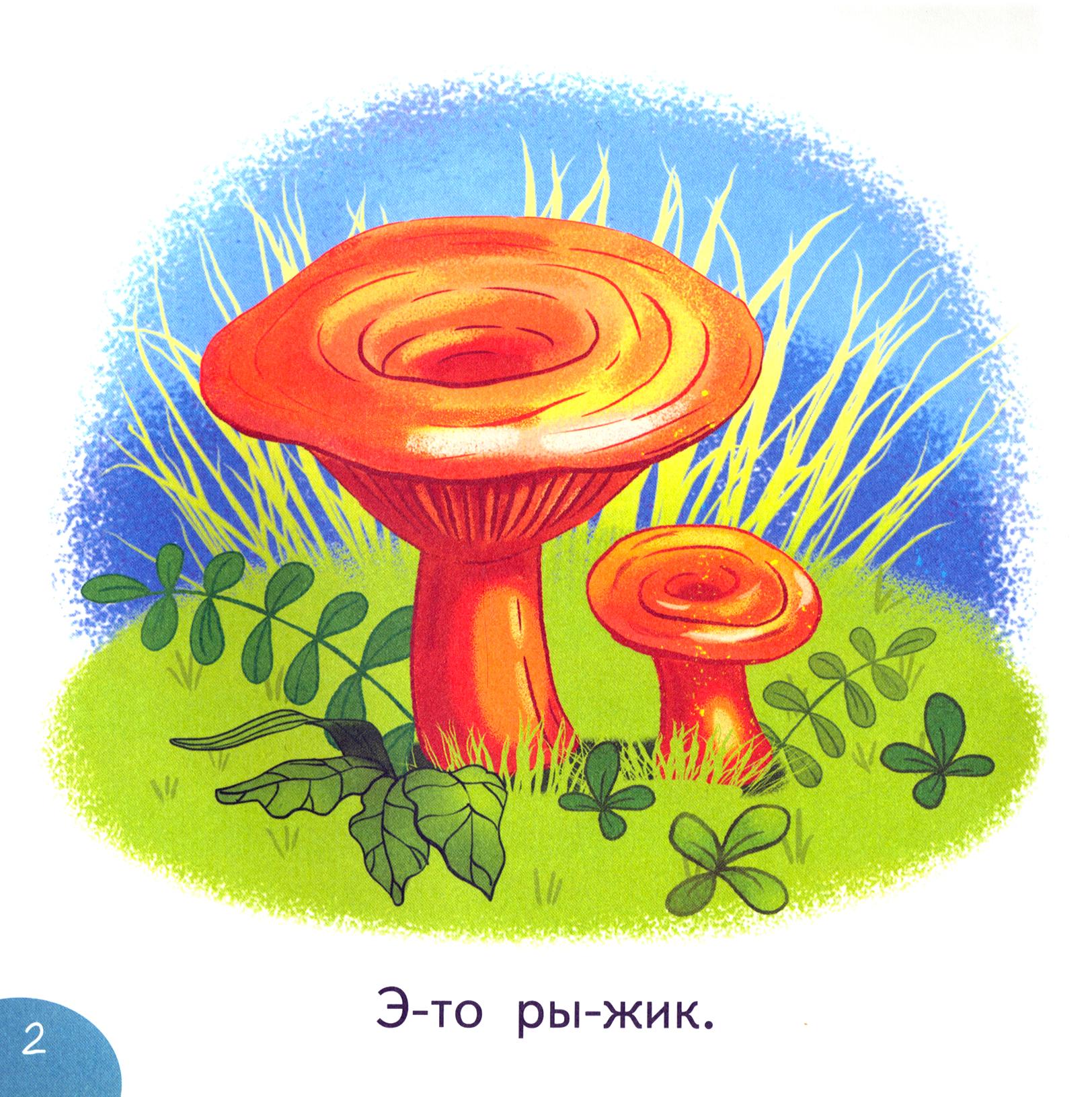 Книга Качели Вот это да! - фото 3
