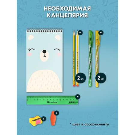 Набор школьника SCHOOLFORMAT 40 предм.