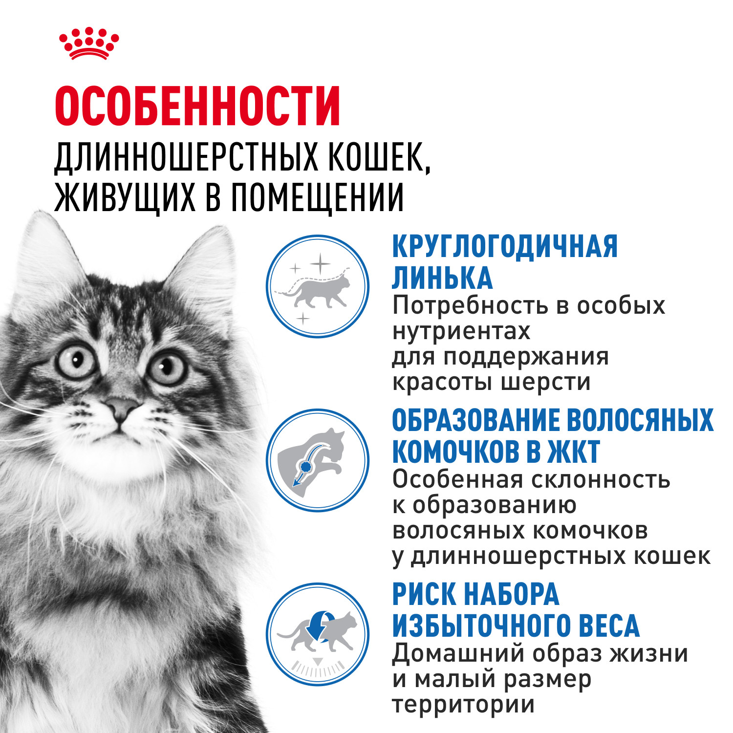 Корм сухой для кошек ROYAL CANIN Indoor Long Hair 2кг домашних длинношерстных - фото 2