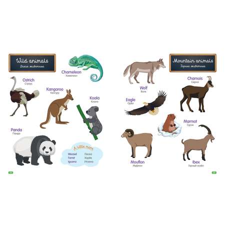 Книга Clever Мой первый английский Словарь в картинках