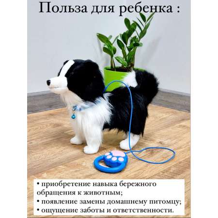 Собачка Интерактивная BalaToys Музыкальная игрушка на поводке