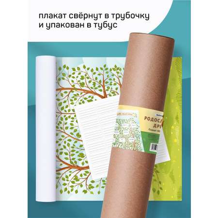 Плакат Выручалкин Родословное древо с наклейками