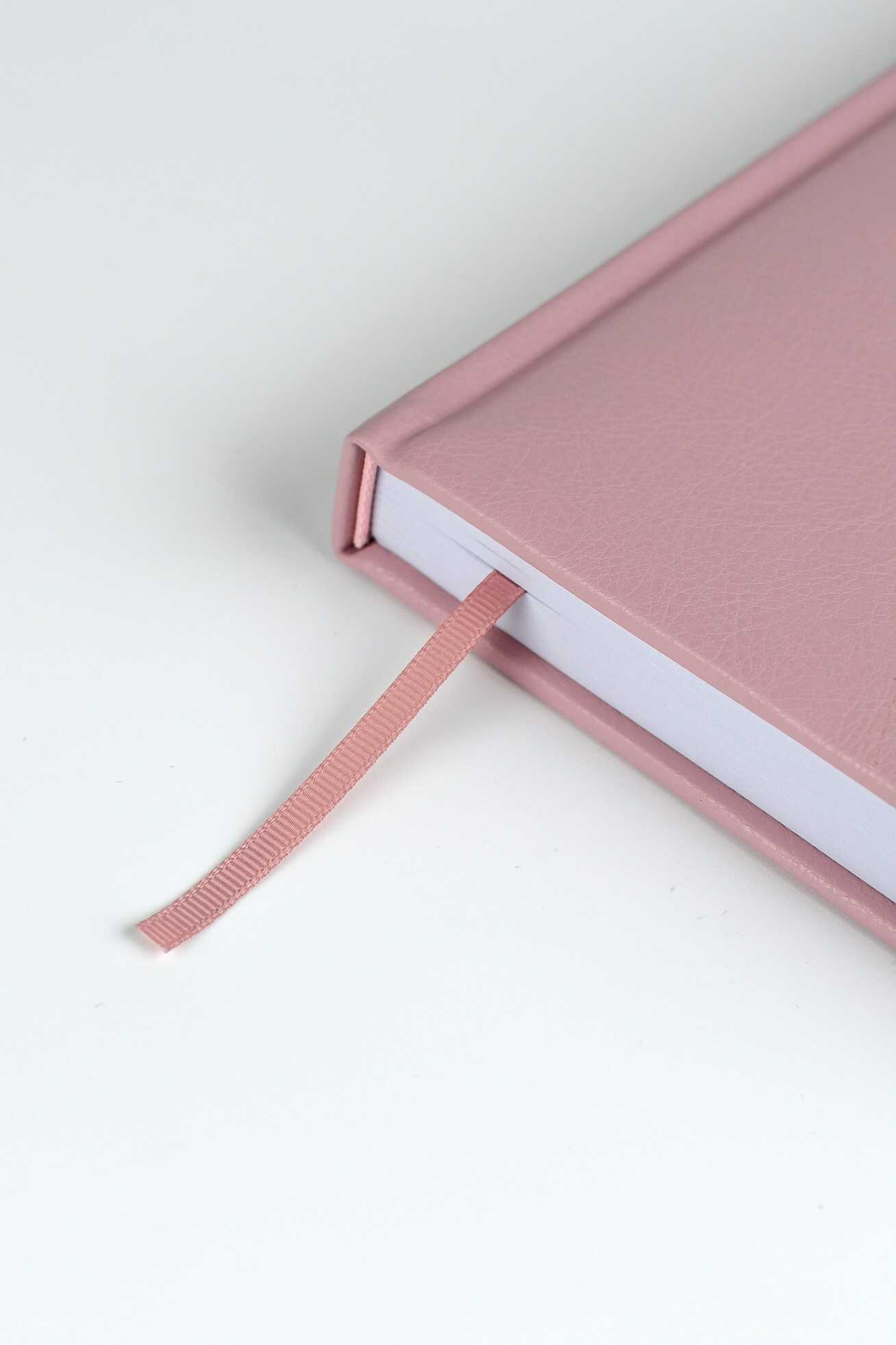 Ежедневник Феникс + ESCALADA 176 лист. - фото 19