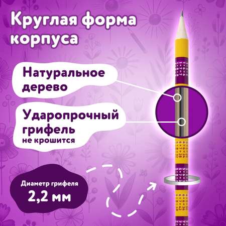 Карандаши чернографитные Юнландия 8 шт.