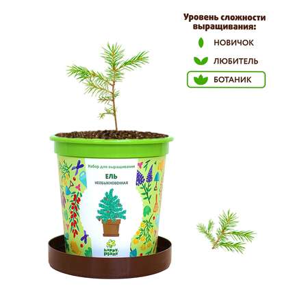 Набор для выращивания Happy Plant