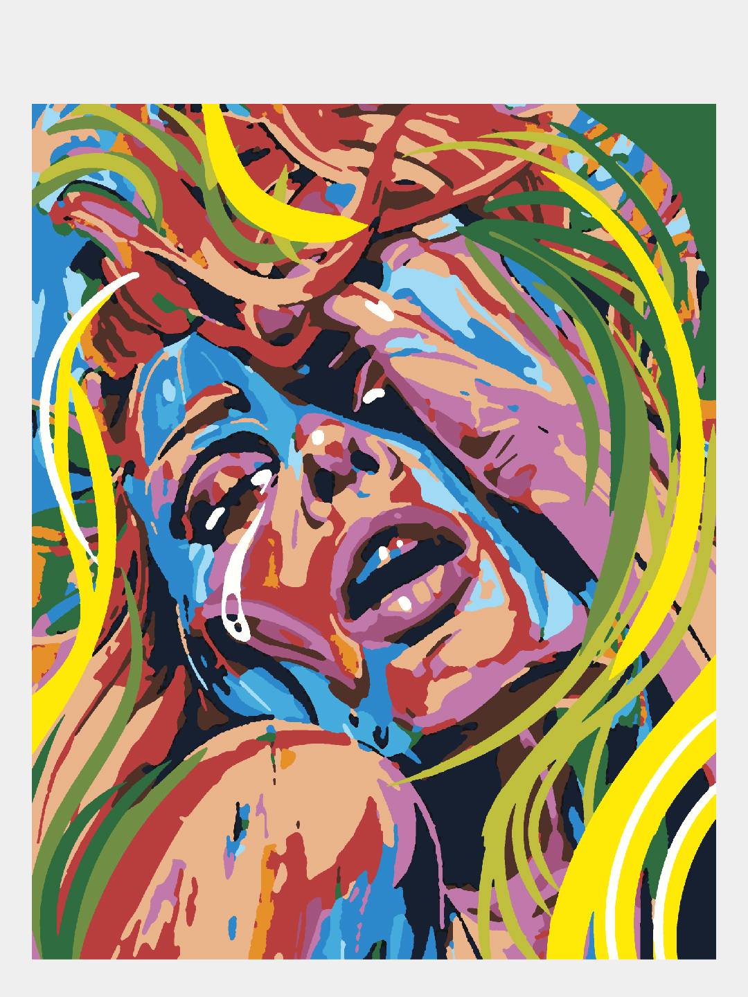 Картина по номерам Selfica Красочное безумие - фото 1