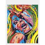 Картина по номерам Selfica Красочное безумие