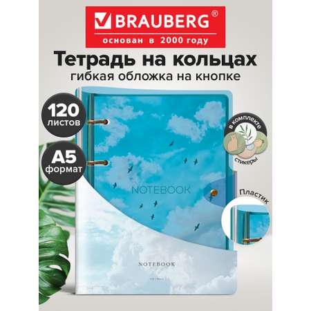 Тетрадь со сменным блоком Brauberg клетка 120 лист.