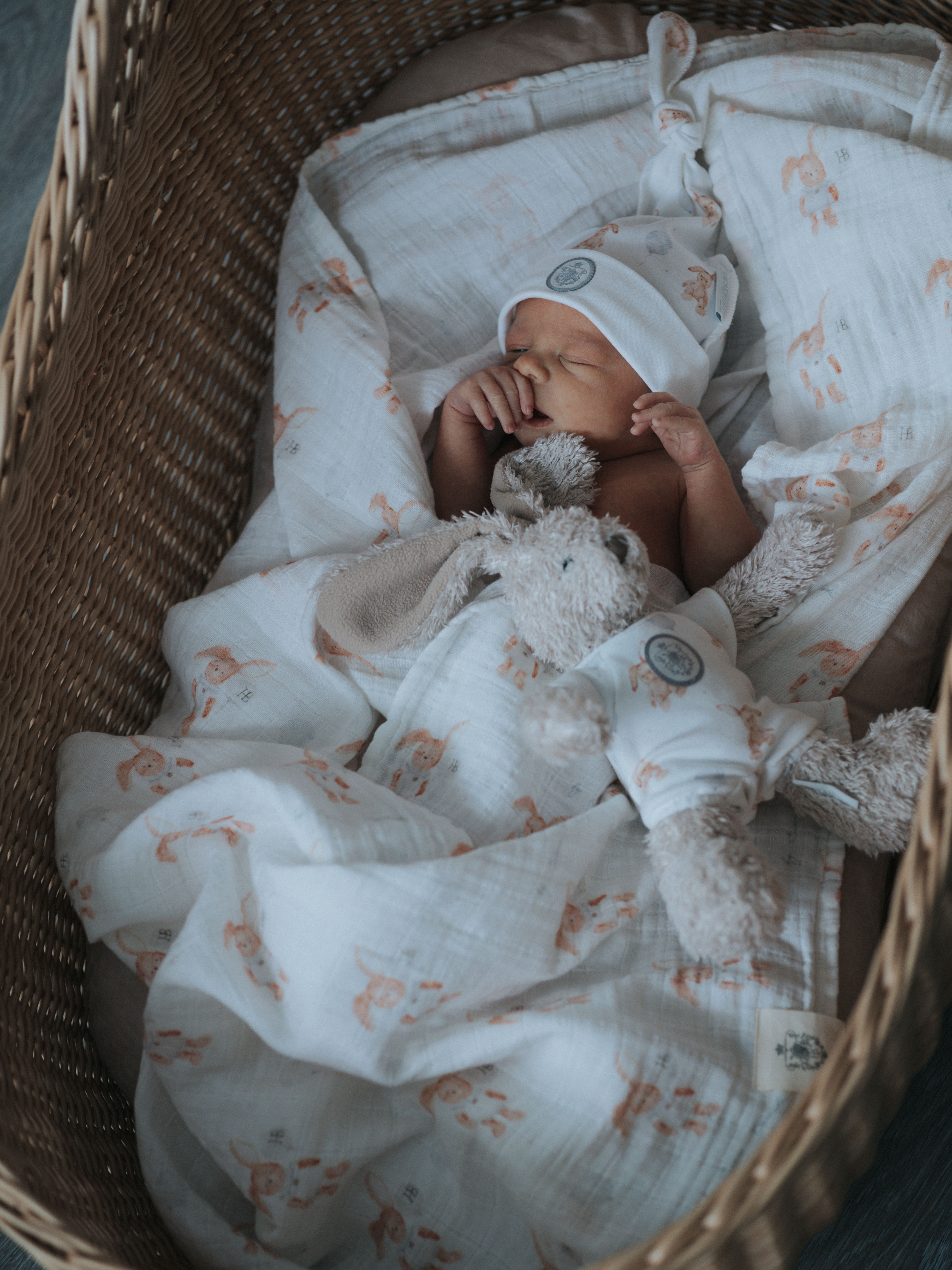 Пелёнка НаследникЪ Выжанова Набор муслиновых пеленок муслин 120х120 см 2 шт. - фото 2