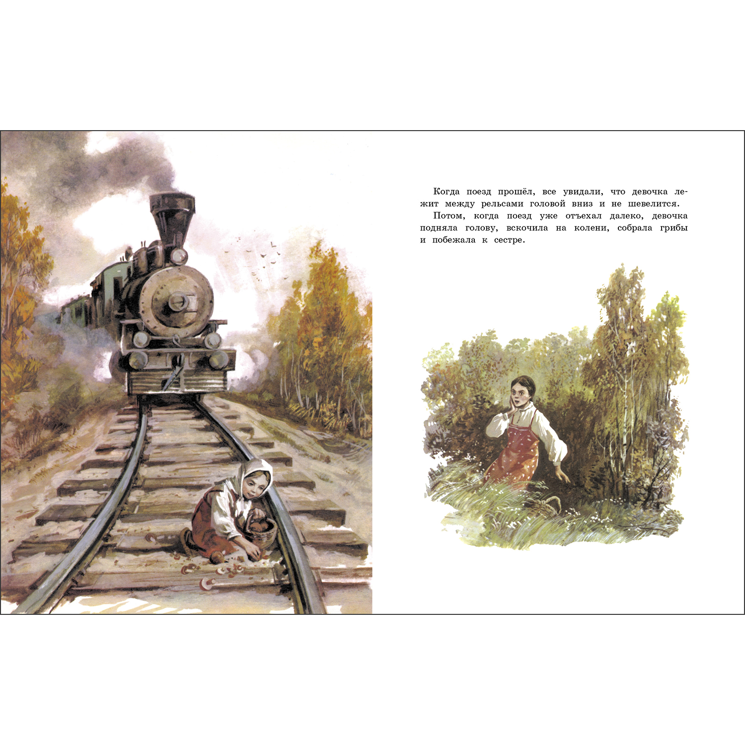 Книга СТРЕКОЗА Как мужик гусей делил - фото 4