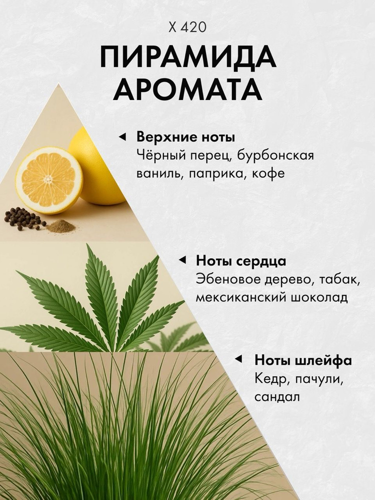 Диффузор с сухоцветами в Премиум тубусе Accents X 420 - фото 2