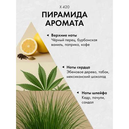 Диффузор с сухоцветами в Премиум тубусе Accents X 420