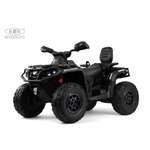 Квадроцикл RIVERTOYS Y888YY-BLACK С пультом ДУ