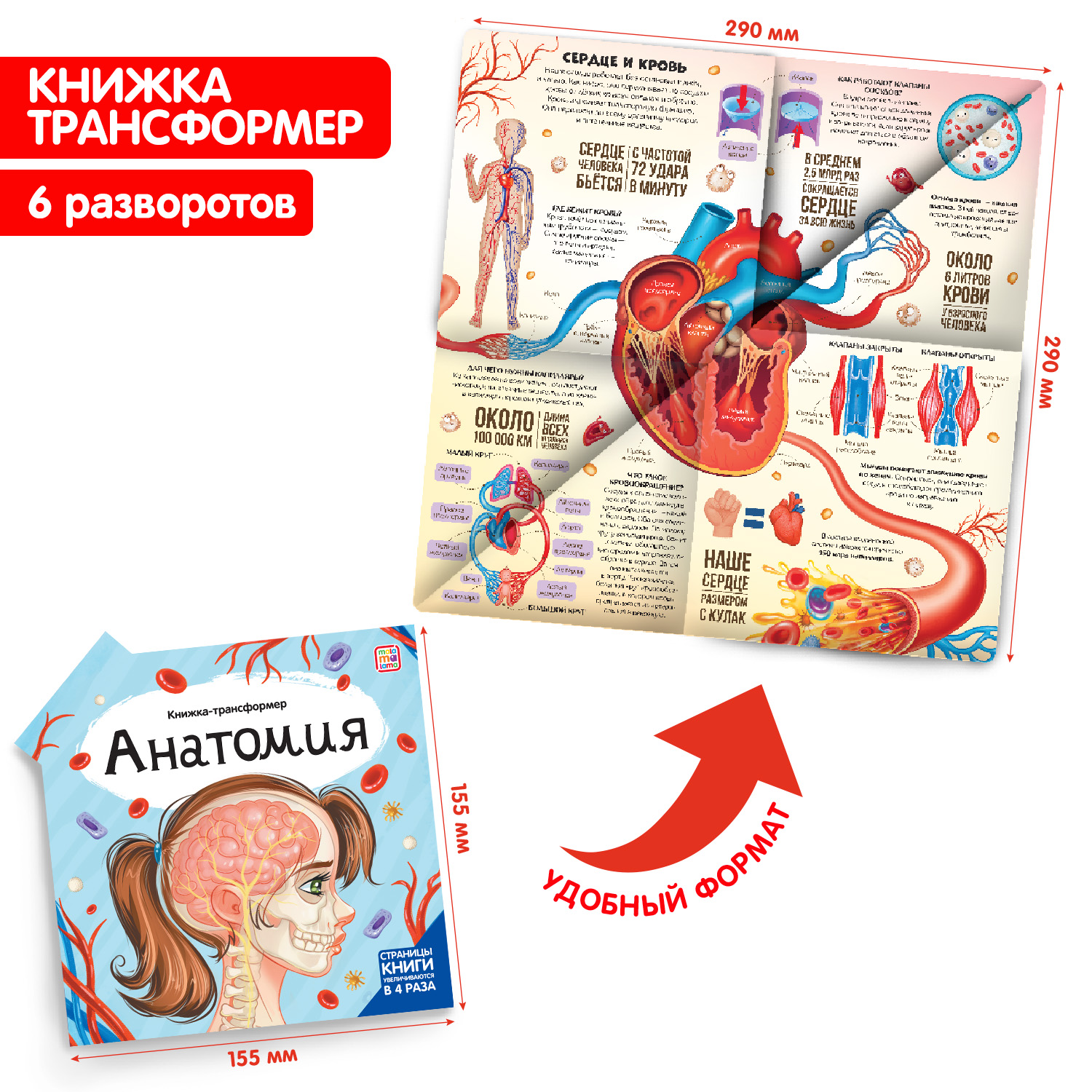 Книга-трансформер Malamalama Энциклопедия Анатомия - фото 1